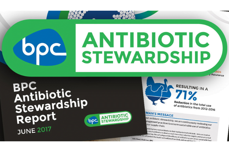 El sector avícola británico reduce el uso de antibióticos en un 50%