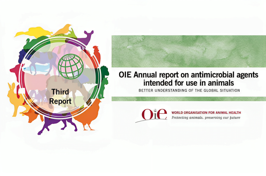 Nuevo informe de la OIE muestra cambio mundial en uso de antibióticos en animales