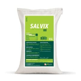 Salvix