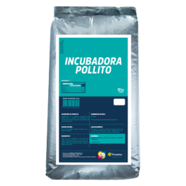 Incubadora Pollito