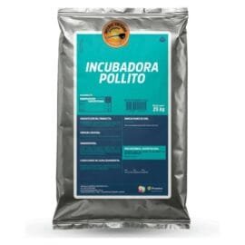 Incubadora pollito