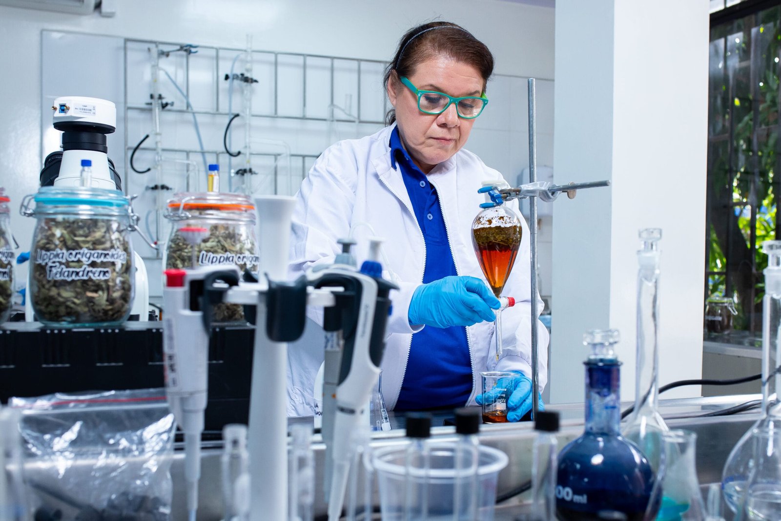 Evaluación in vitro de la eficacia antiviral y el mecanismo de acción de la mezcla botánica CAPeo contra patógenos respiratorios