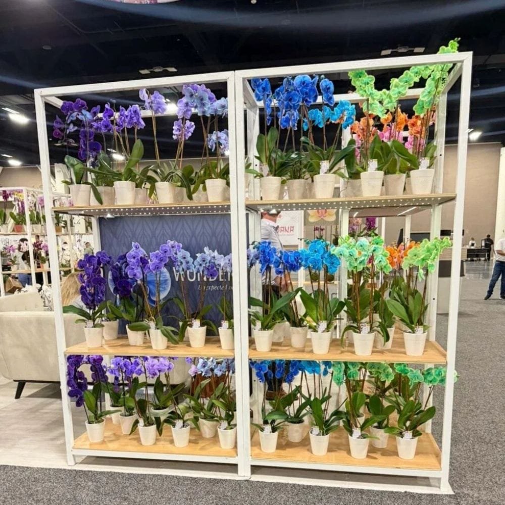 florexpo (1)